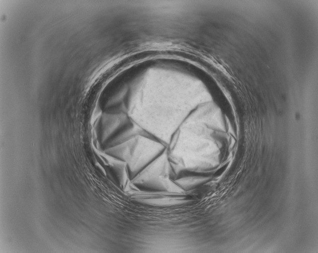 X0000058831311200510171607