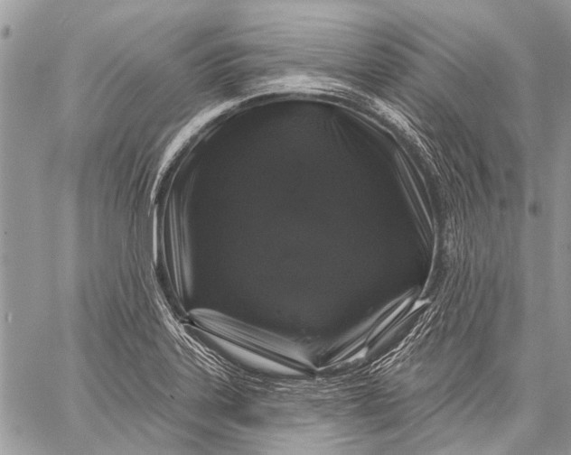 X0000058831323200510171607