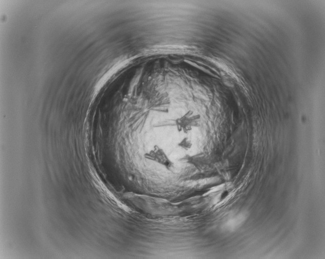 X0000058831325200510171607