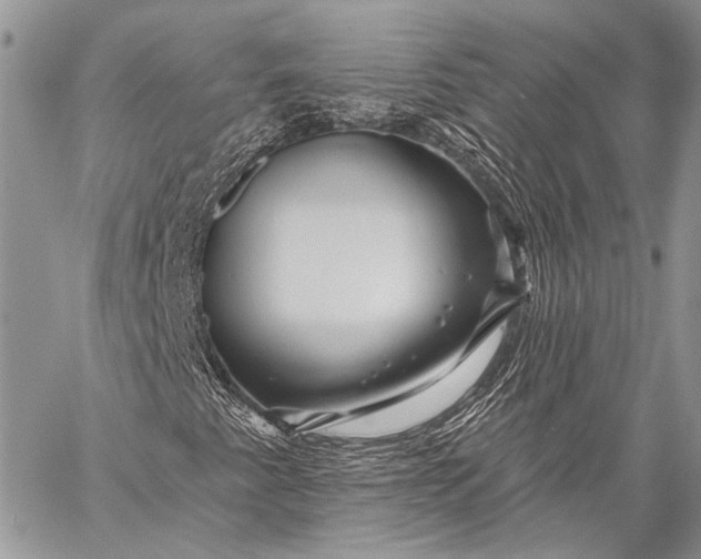 X0000058831345200510171607