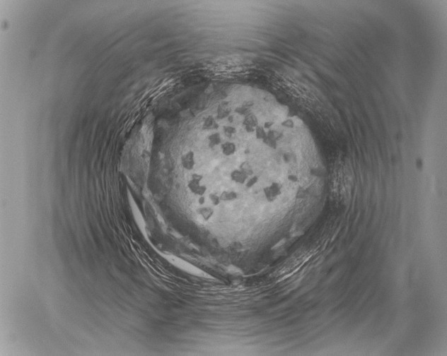X0000058831346200510171607