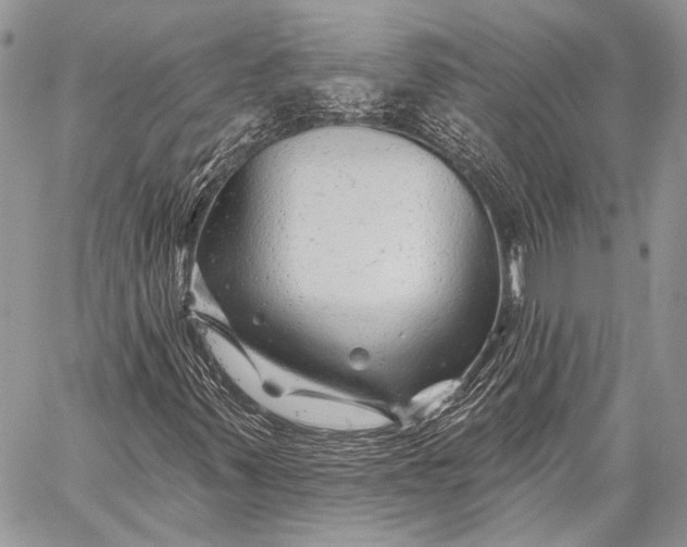 X0000058831347200510171607