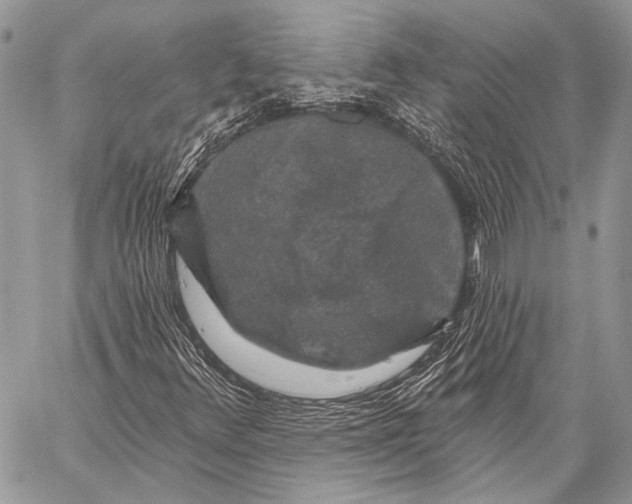 X0000058831348200510171607