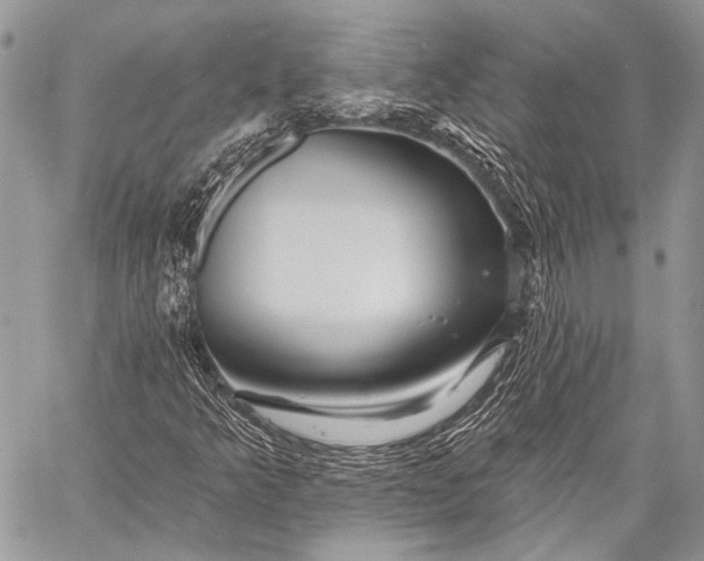 X0000058831349200510171607