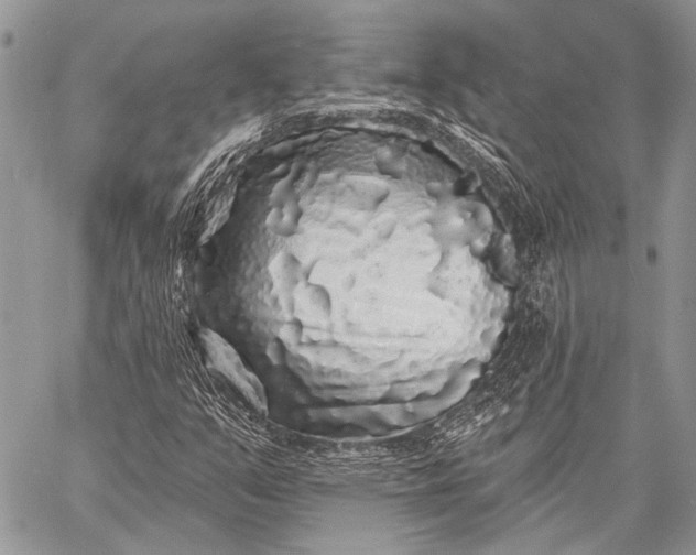 X0000058831351200510171607