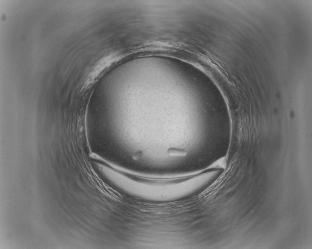 X0000058831355200510171606