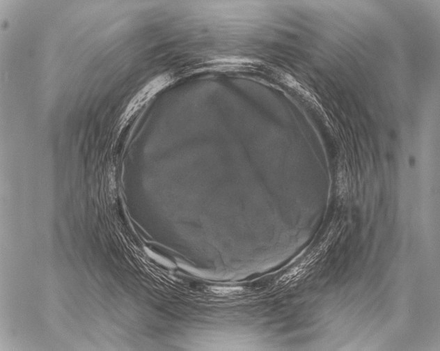 X0000058831362200510171606