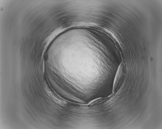 X0000058831371200510171606