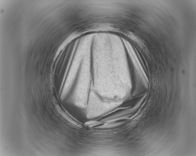 X0000058831374200510171606