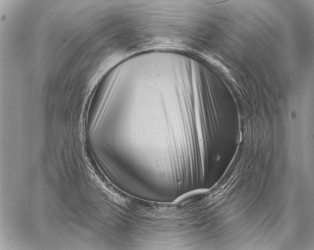 X0000058831375200510171606