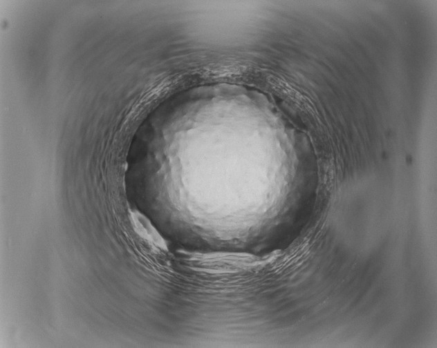 X0000058831393200510171605