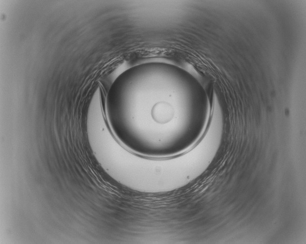 X0000058831394200510171605
