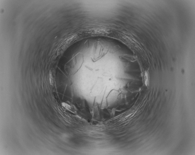 X0000058831395200510171605
