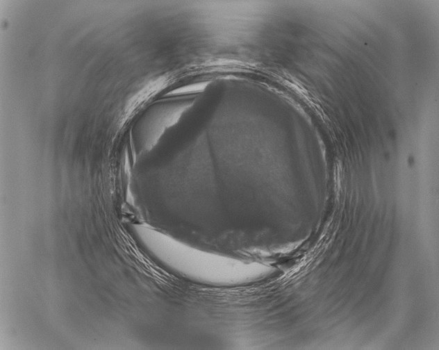 X0000058831405200510171605