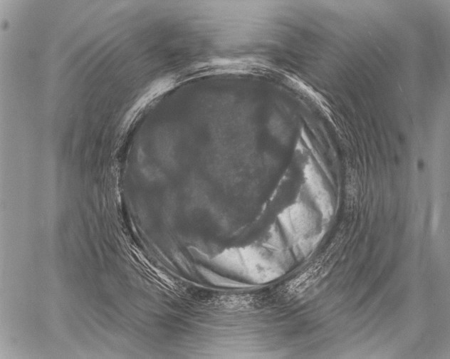 X0000058831411200510171605