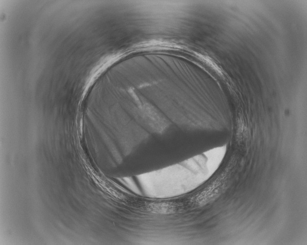 X0000058831413200510171605
