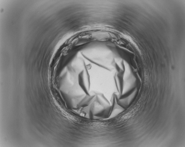 X0000058831424200510171606