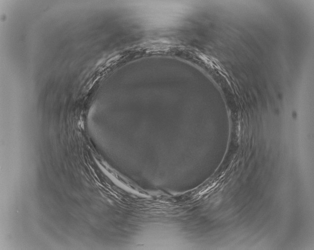 X0000058831445200510171605