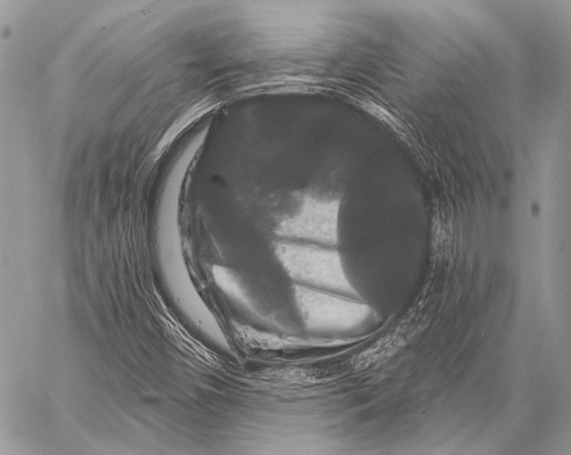 X0000058831450200510171605