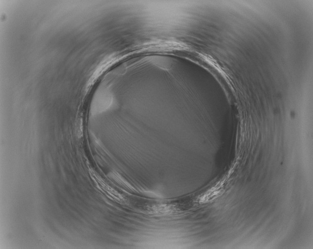 X0000058831459200510171605