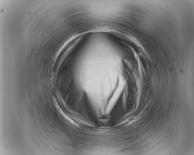 X0000058831484200510171604