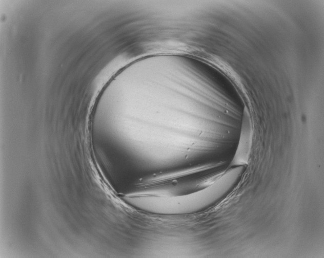 X0000058831488200510171604