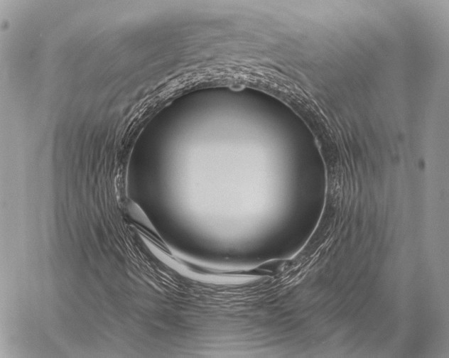X0000058831490200510171604