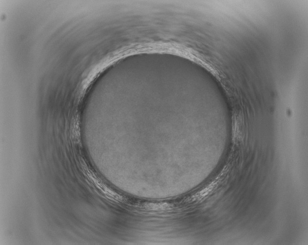 X0000058831498200510171604
