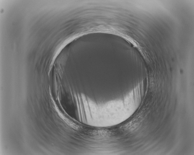 X0000058831515200510171604