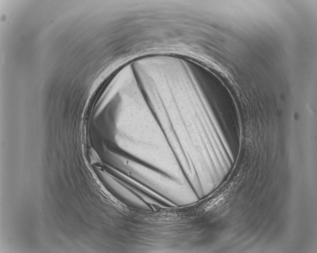 X0000058831517200510171604