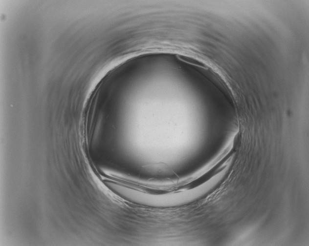 X0000058831531200510171604