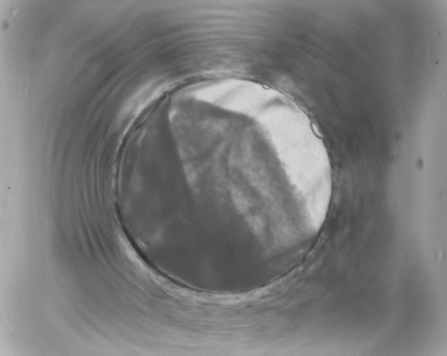 X0000058830002200510212007