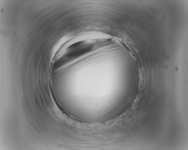 X0000058830003200510212007