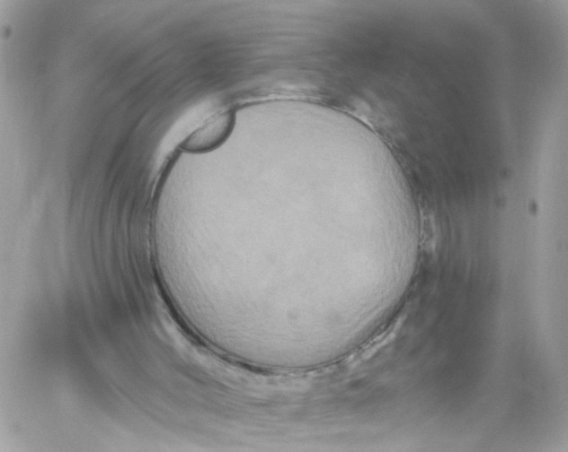 X0000058830004200510212007