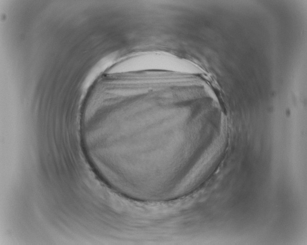 X0000058830006200510212007