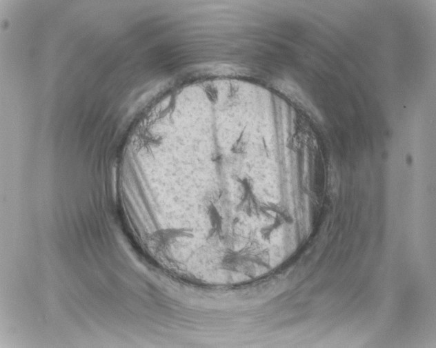 X0000058830014200510212007