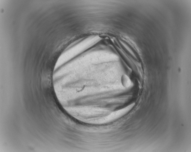 X0000058830017200510212006