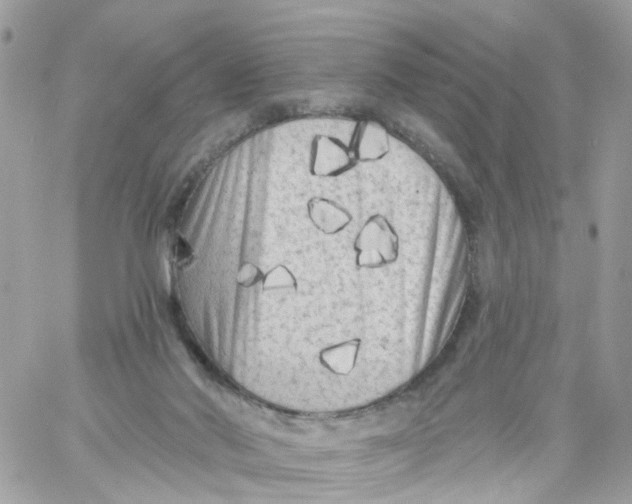 X0000058830022200510212006