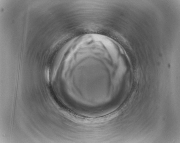 X0000058830027200510212006