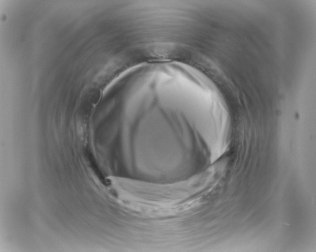 X0000058830031200510212006