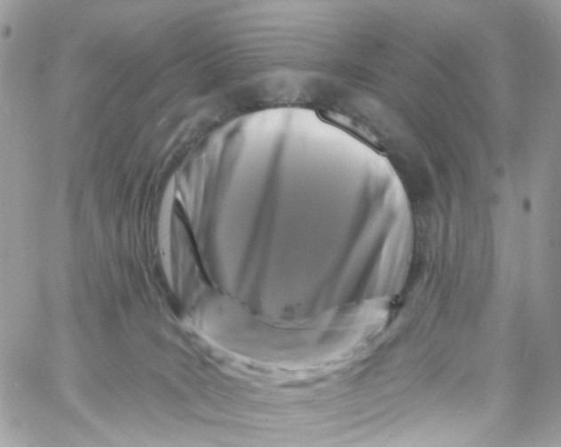 X0000058830035200510212006