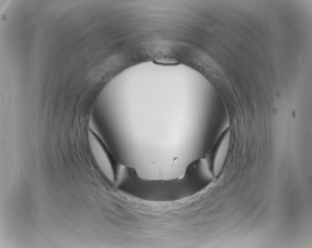 X0000058830037200510212006