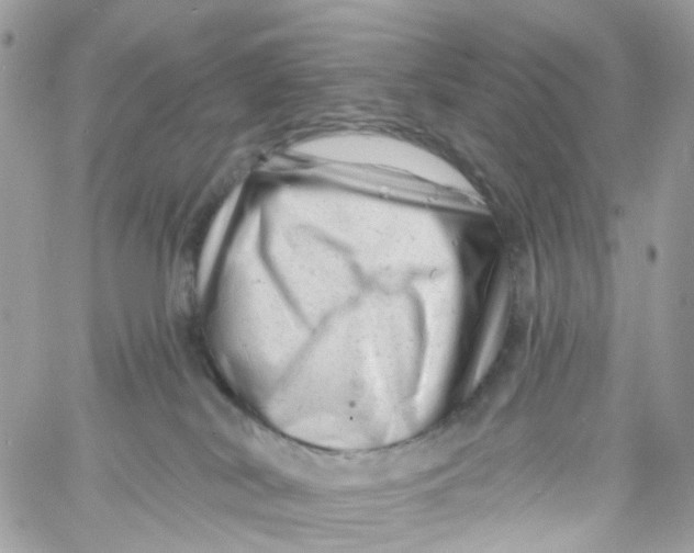 X0000058830038200510212006
