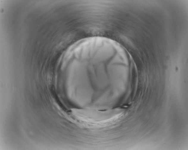 X0000058830039200510212006