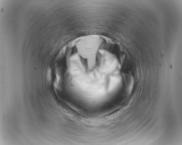 X0000058830041200510212006
