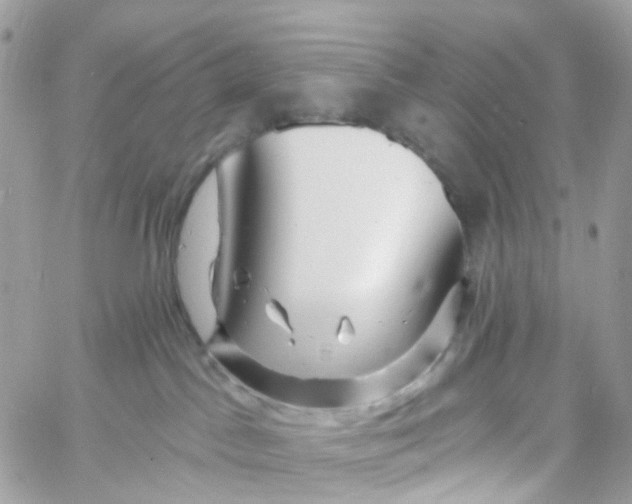 X0000058830045200510212006