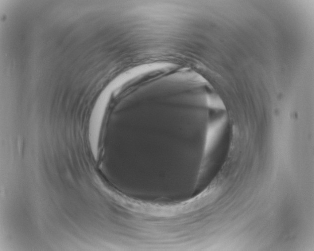 X0000058830048200510212006