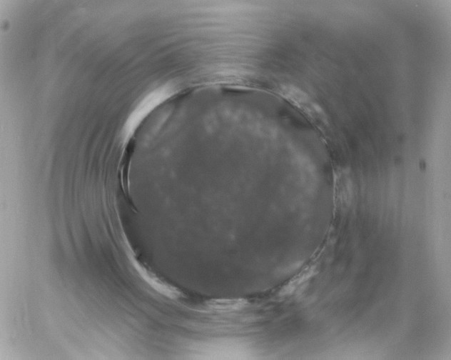 X0000058830051200510212005