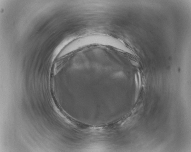 X0000058830052200510212005
