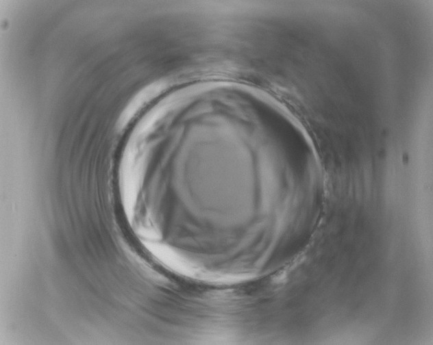 X0000058830054200510212005